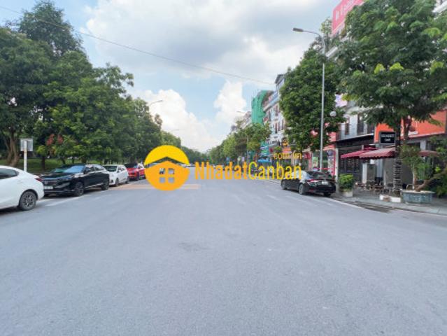 Biệt Thự bán