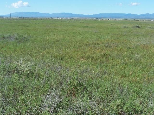 Land for sale in New Mexico
