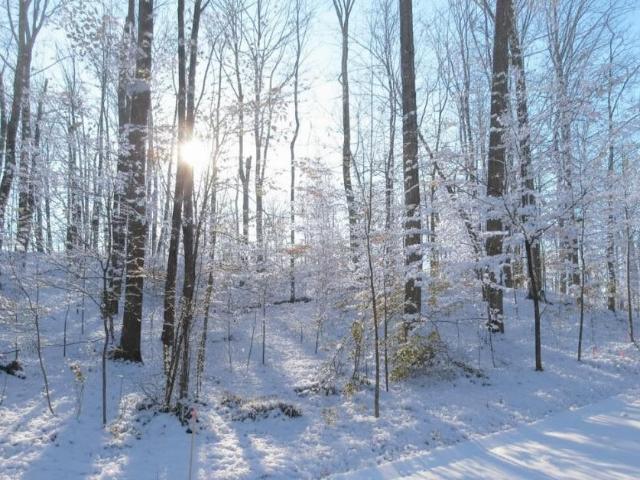 Land for sale in Paradise, Michigan