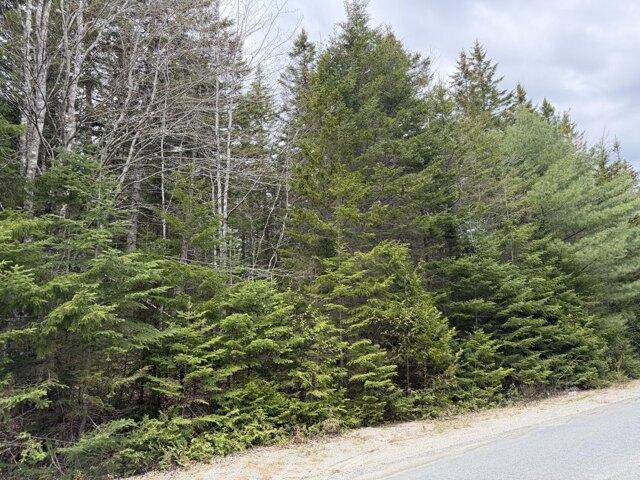 Land for sale in Corea, Maine