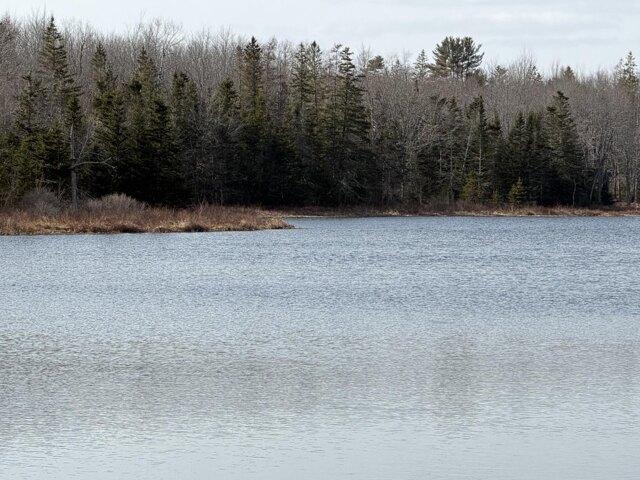 Land for sale in Corea, Maine