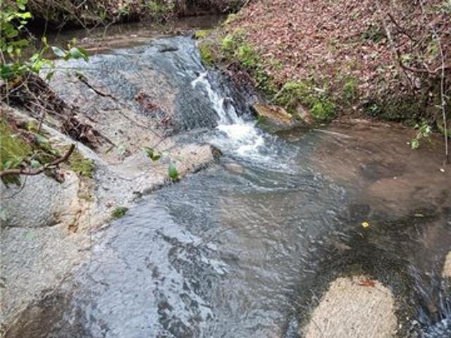 Land for sale in Tamassee, South Carolina