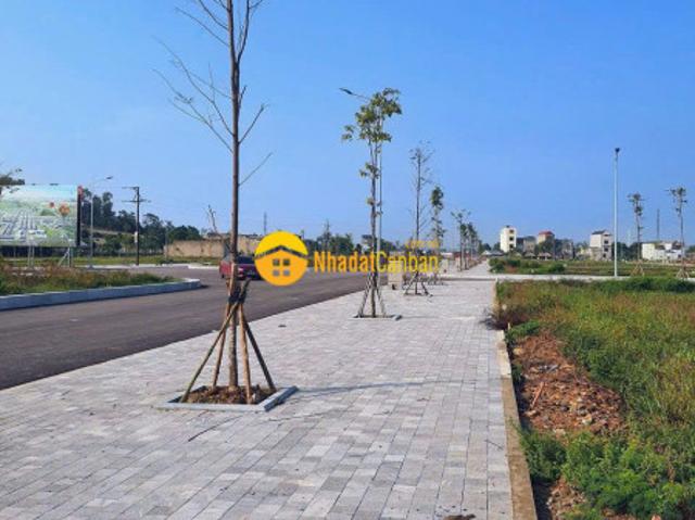 Mặt bằng bán