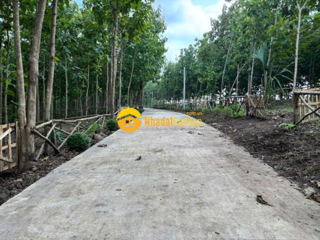 Mặt bằng bán