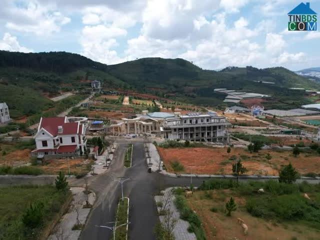 Biệt Thự bán