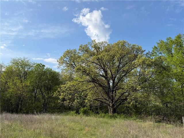 Land for sale in Gentry, Missouri
