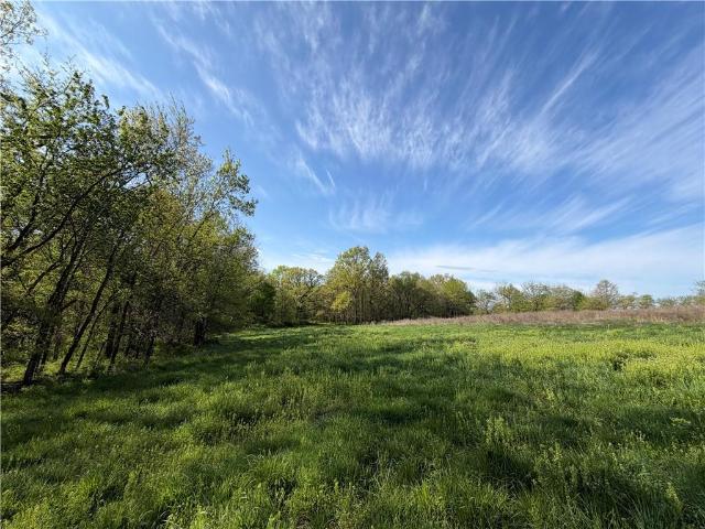 Land for sale in Gentry, Missouri