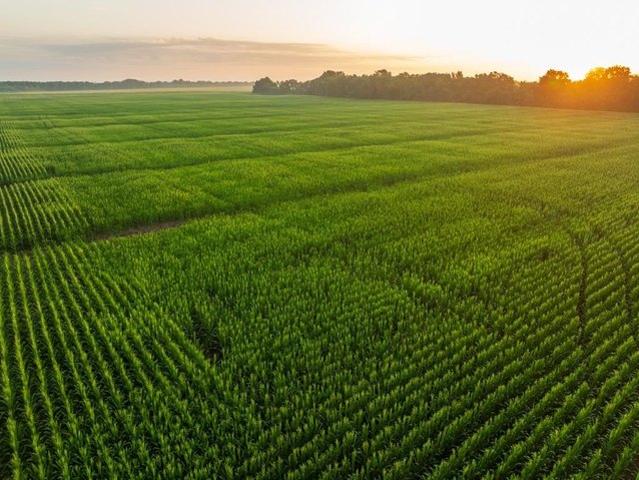 Farm for sale in Missouri