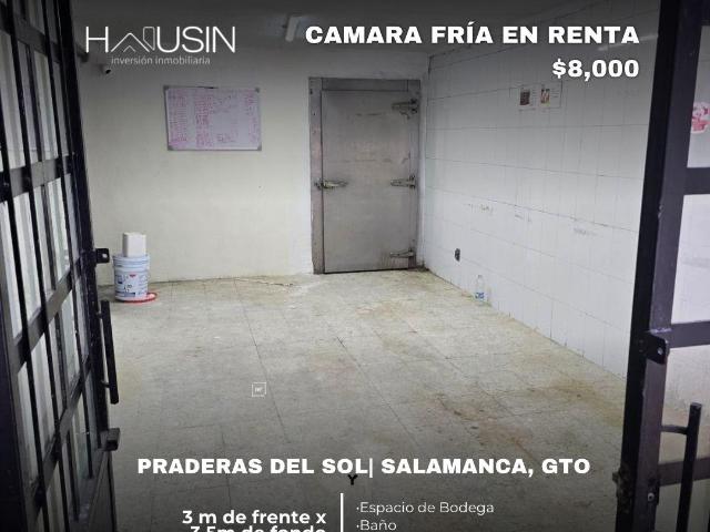 Local Comercial en renta en Pradera Del Sol, Salamanca