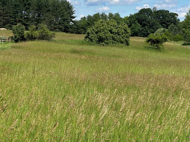 Land for sale in Howell, Michigan