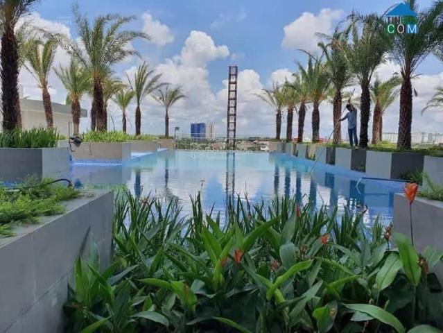 Căn hộ bán tại Thủ Đức, Hồ Chí Minh