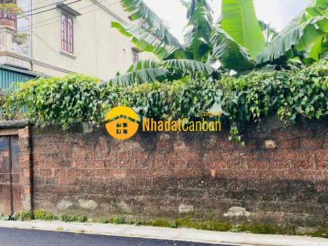Mặt bằng bán