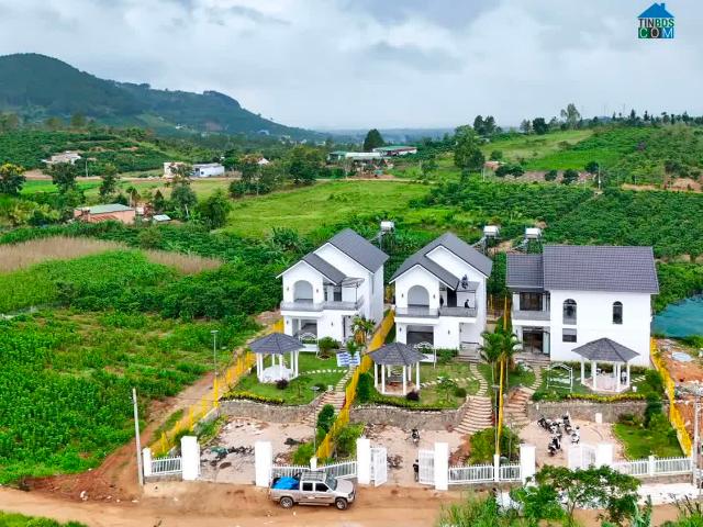 Biệt Thự bán