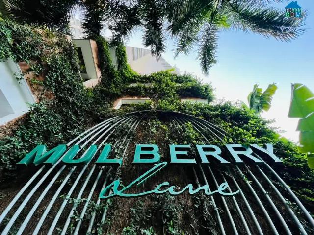 Căn hộ bán tại Hoàn Kiếm, Hà Nội