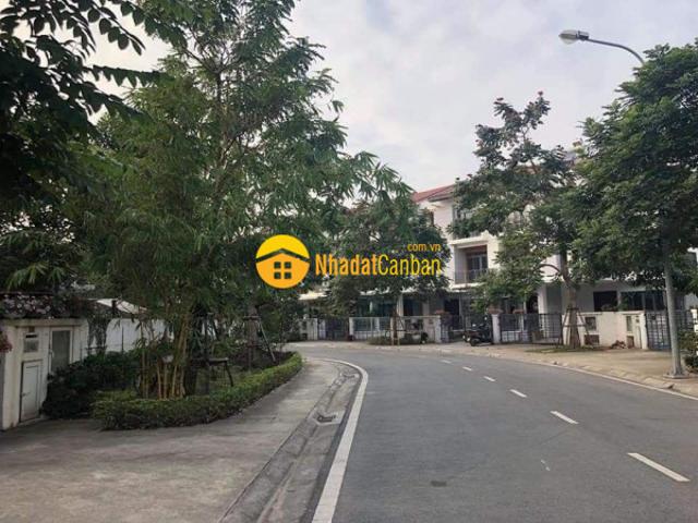 Biệt Thự bán