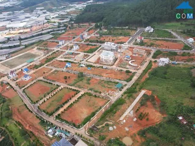 Biệt Thự bán