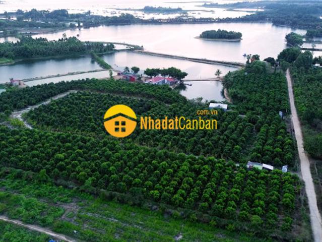 Mặt bằng bán