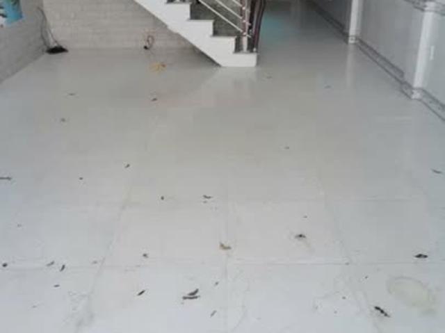 Nhà bán