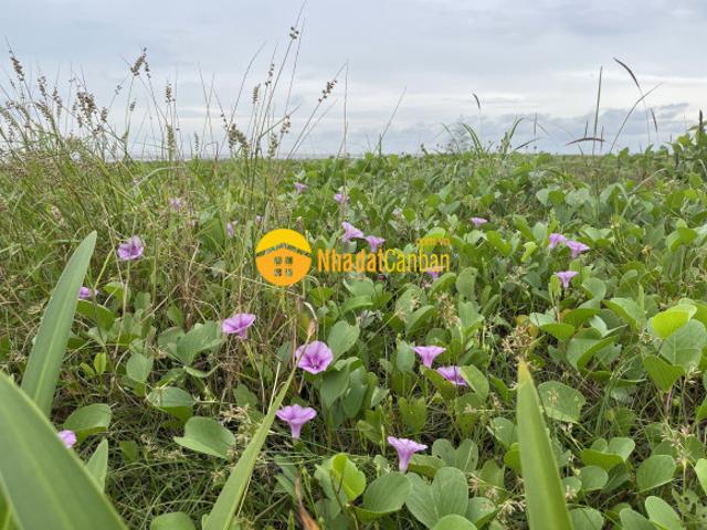 Mặt bằng bán