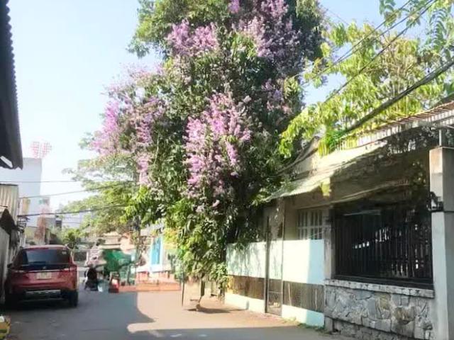 Nhà bán tại Thủ Đức, Hồ Chí Minh