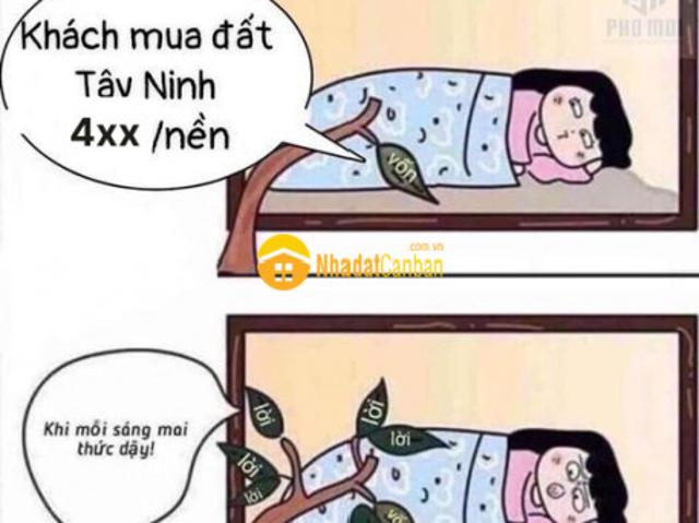 Mặt bằng bán