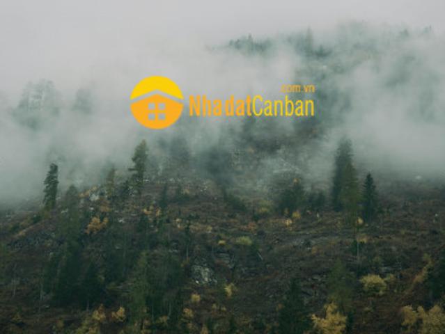 Mặt bằng bán