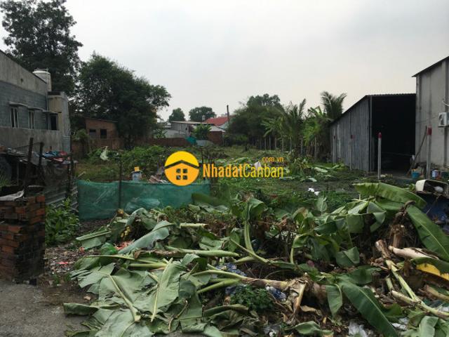 Mặt bằng bán