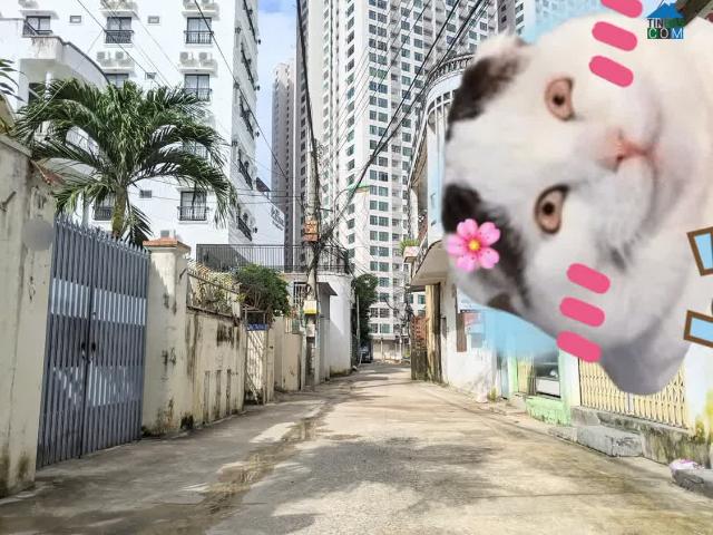 Nhà mặt phố bán tại Gia Lai