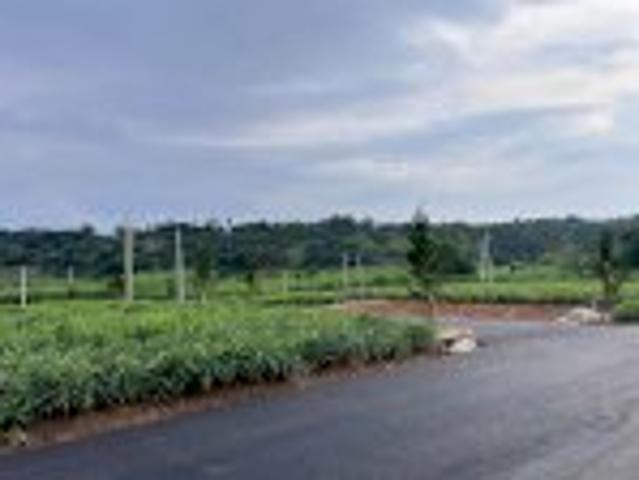 Bất động sản bán tại Tuyên Quang