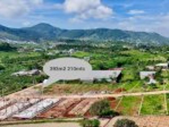 Bất động sản bán tại Tuyên Quang