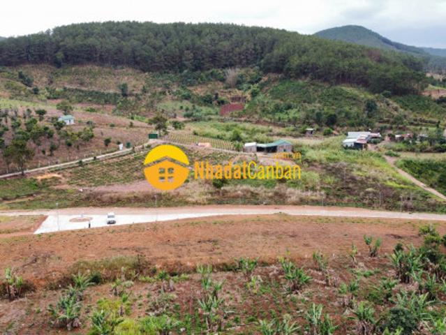 Mặt bằng bán