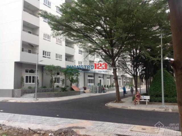 Bất động sản cho thuê tại Hồ Chí Minh