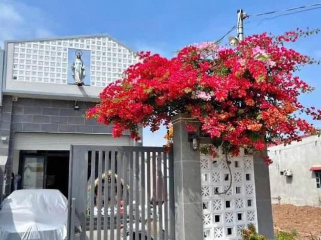 Nhà bán tại Khuôn viên UBND Thành phố Hồ Chí Minh, Thành phố Hồ Chí Minh