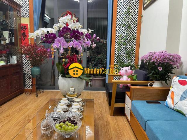 Căn hộ bán
