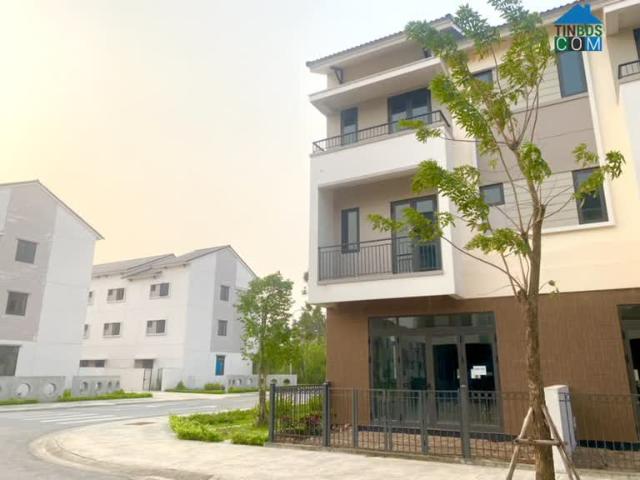 Biệt Thự bán tại Bắc Ninh
