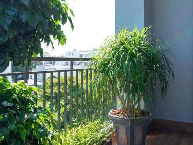 Căn hộ cho thuê tại Đà Nẵng