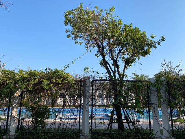 Căn hộ cho thuê tại Hải Phòng