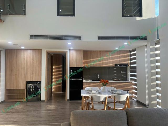 Căn hộ cho thuê tại Hải Châu, Đà Nẵng