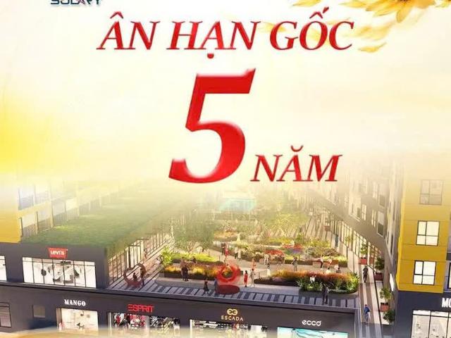 Căn hộ bán tại Gia Lai