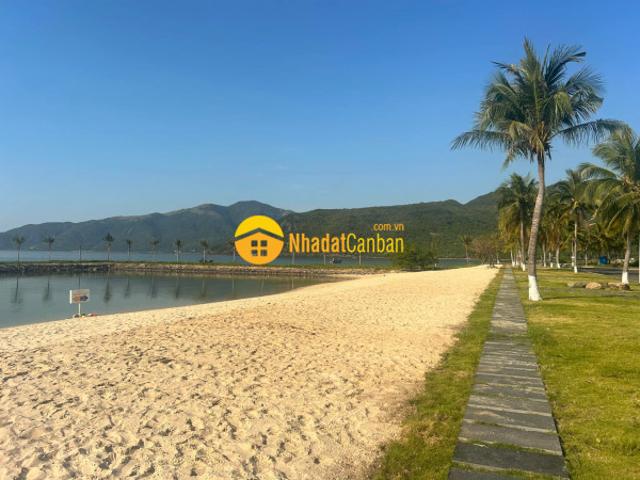 Căn hộ bán