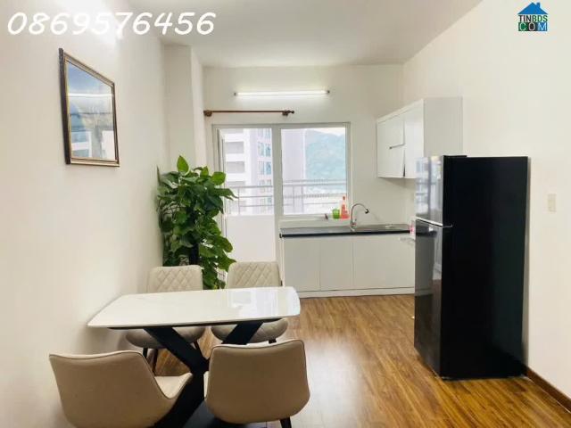 Căn hộ cho thuê tại Khánh Hòa