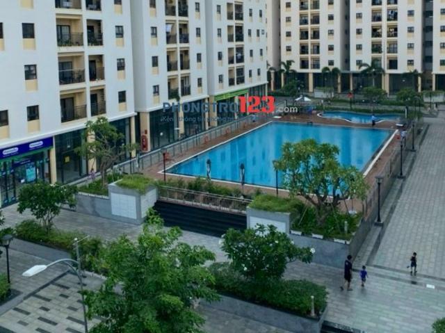 Bất động sản cho thuê tại Hồ Chí Minh