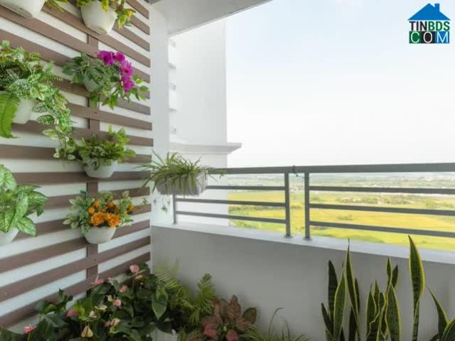 Căn hộ bán tại Hoàn Kiếm, Hà Nội
