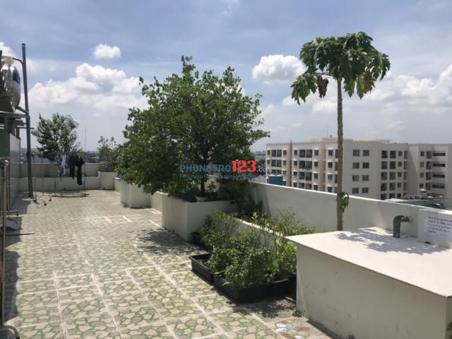 Bất động sản cho thuê tại Hồ Chí Minh