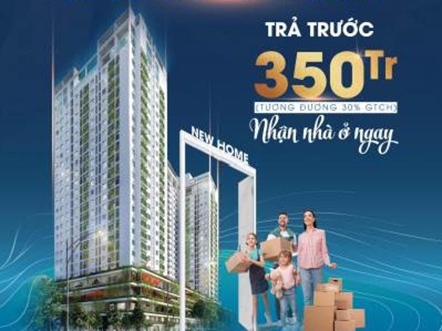 Căn hộ bán tại Bình Định Căn hộ bán tại Bình Định