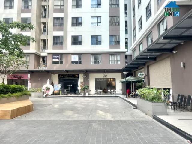 Căn hộ bán tại Thủ Đức, Hồ Chí Minh