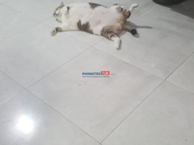 Bất động sản cho thuê tại Hồ Chí Minh