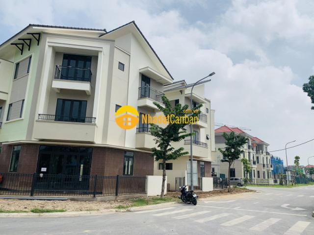 Biệt Thự bán