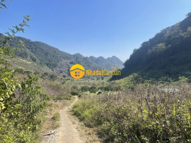 Mặt bằng bán