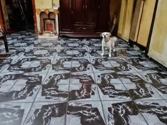 Nhà bán tại Thủ Đức, Hồ Chí Minh